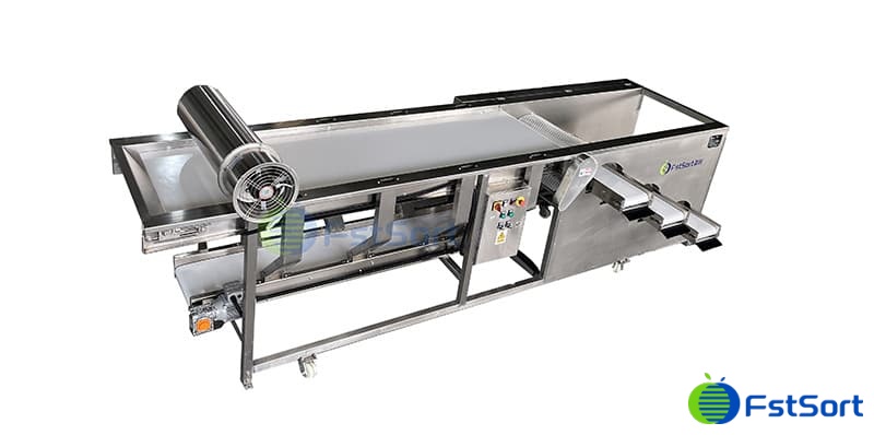 images/1657266497768blueberry grader.jpg